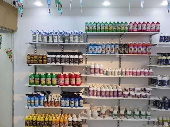 Store