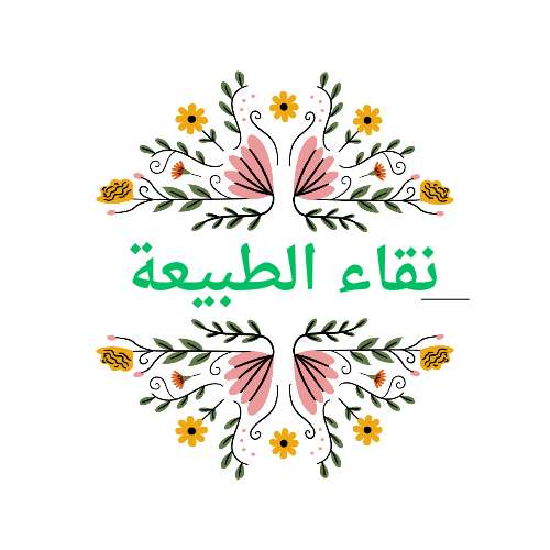 Store